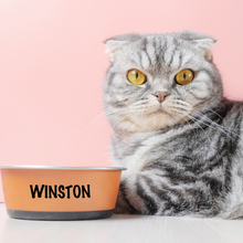 Load image into Gallery viewer, Personalised Pet Bowl Decals for Dogs and Cats - Custom Vinyl Stickers