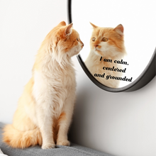 Load image into Gallery viewer, A fluffy orange and white cat sits on a cushion, looking into a mirror. Its reflection is accompanied with a decal saying, "I am calm, centered and grounded."