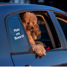 Load image into Gallery viewer, Adorable Car Decals for Babies, Children, Grandkids and Pets