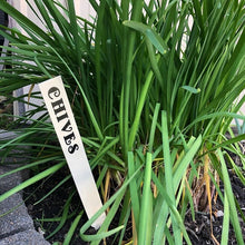 Load image into Gallery viewer, Herb & Plant Labels - Indoor or Outdoor Herb Name Labels