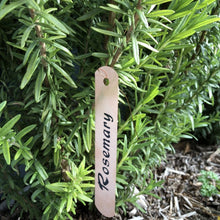 Load image into Gallery viewer, Herb & Plant Labels - Indoor or Outdoor Herb Name Labels
