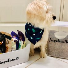 Load image into Gallery viewer, Personalised Pet Bowl Decals for Dogs and Cats - Custom Vinyl Stickers